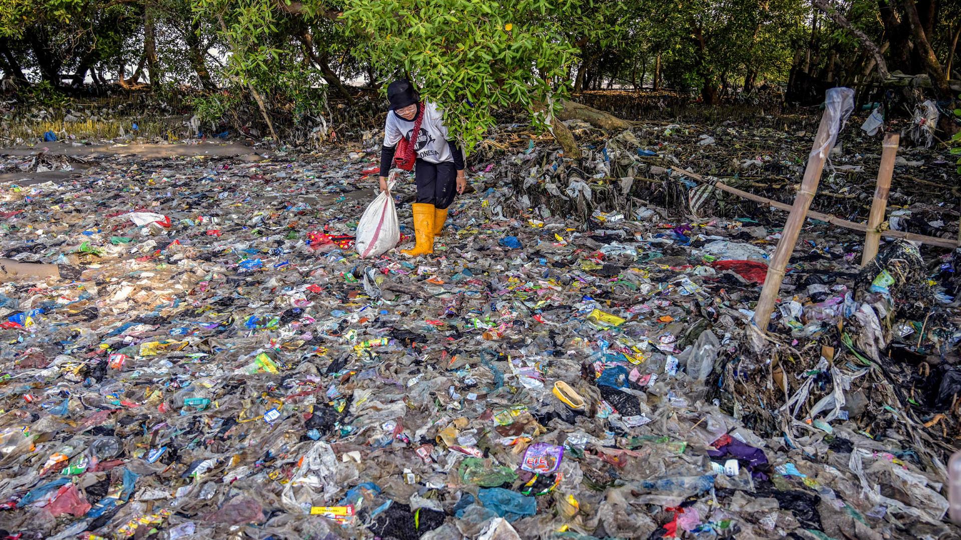 Wie sinnvoll sind Gutschriften auf Plastik?