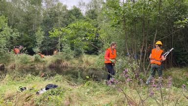 Schülerinnen bei Waldarbeiten