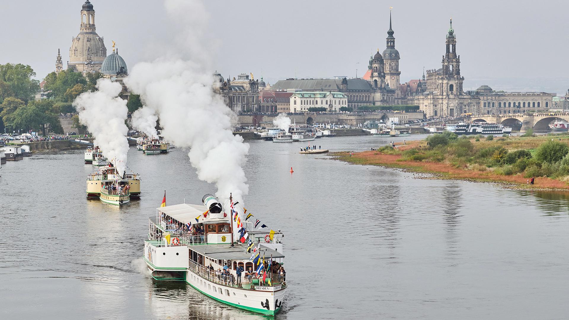 Dampfschiffe auf der Elbe in Dresden | Robert Michael/dpa