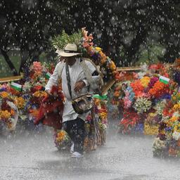 Ein Bauer trägt Blumenschmuck während der traditionellen Silleteros-Parade.