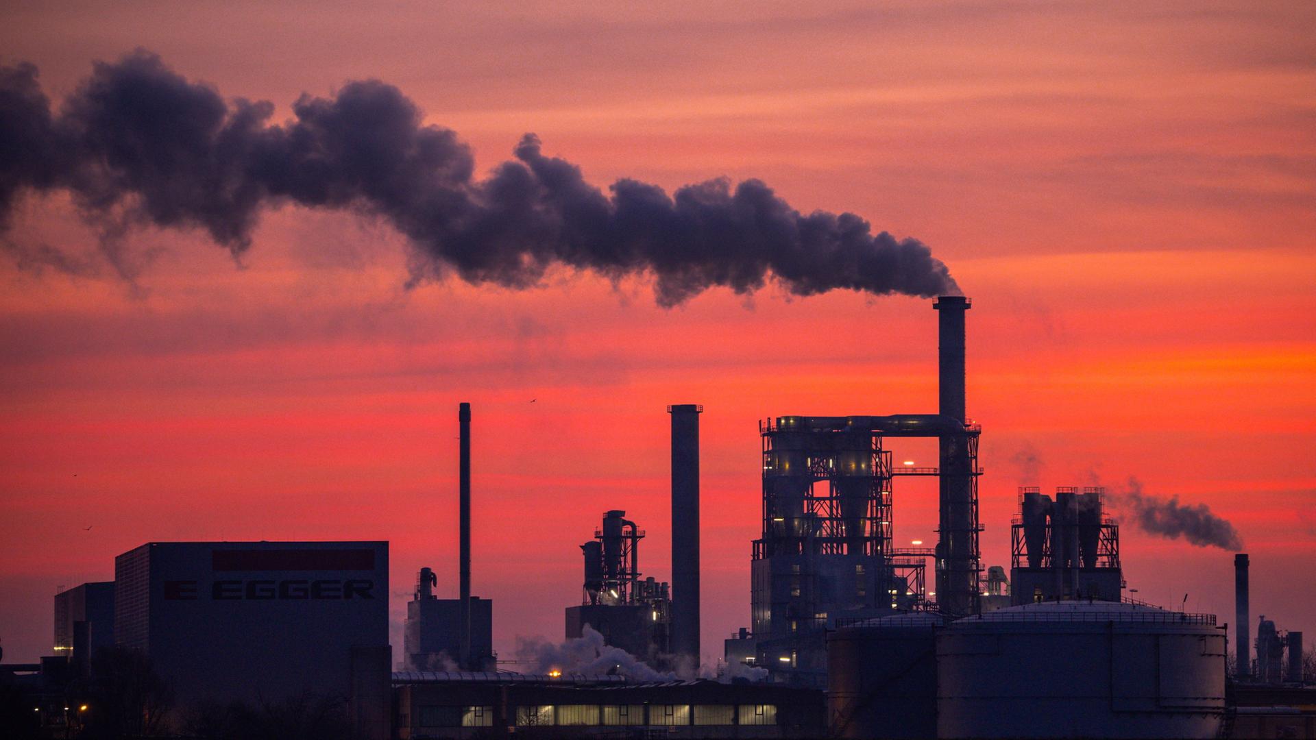  Dampf steigt aus den Schornsteinen der Holzwerke in Wismar auf. | dpa