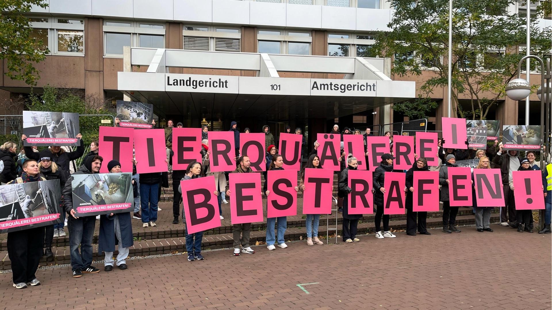 Schlachthof in Hürth: Ex-Mitarbeiter wegen Tierquälerei angeklagt