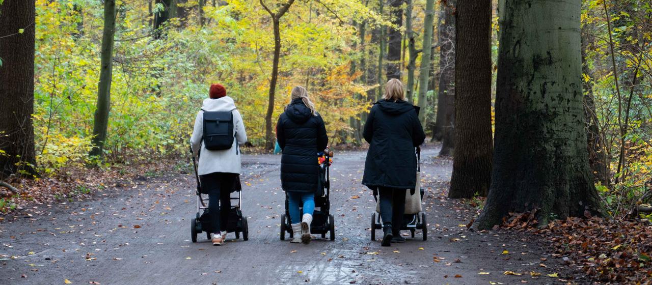 Auf einen Parkweg spazieren drei Mütter mit Kinderwagen.  | dpa Auf einen Parkweg spazieren drei Mütter mit Kinderwagen.