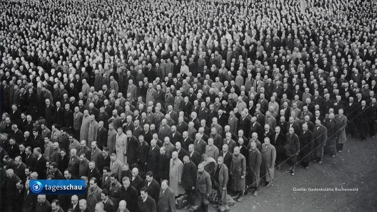 80. Jahrestag der Befreiung des Konzentrationslagers Buchenwald ...
