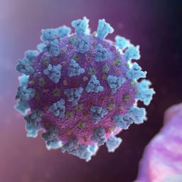 Modell des Coronavirus