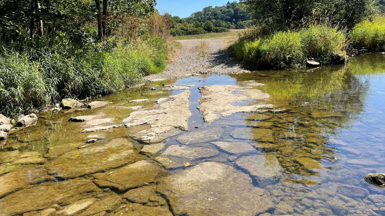 BadenWürttemberg Flüsse in BW mit vielen Chemikalien belastet