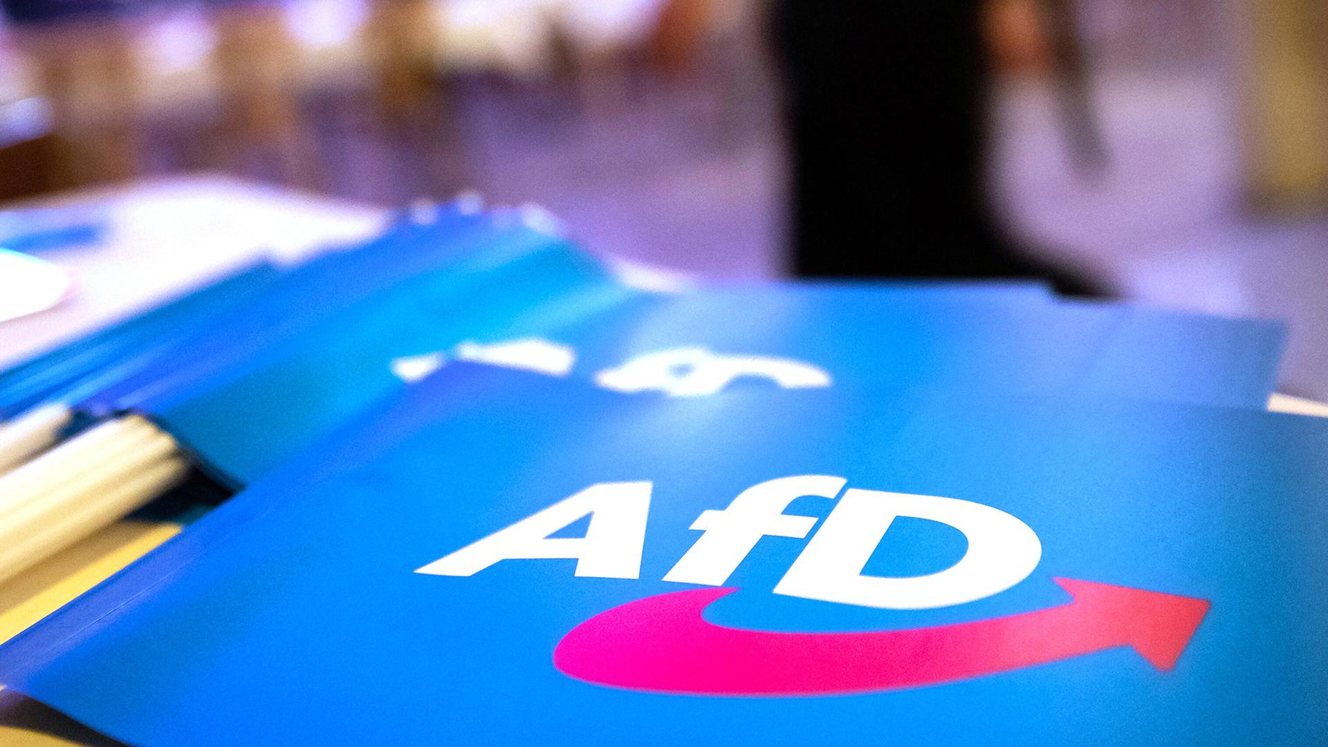 Brandenburgs Regierung verbietet AfD-Werbung an Schulen