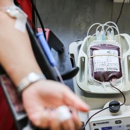 Wie japanische Forscher knstliches Blut entwickeln | tagesschau.de