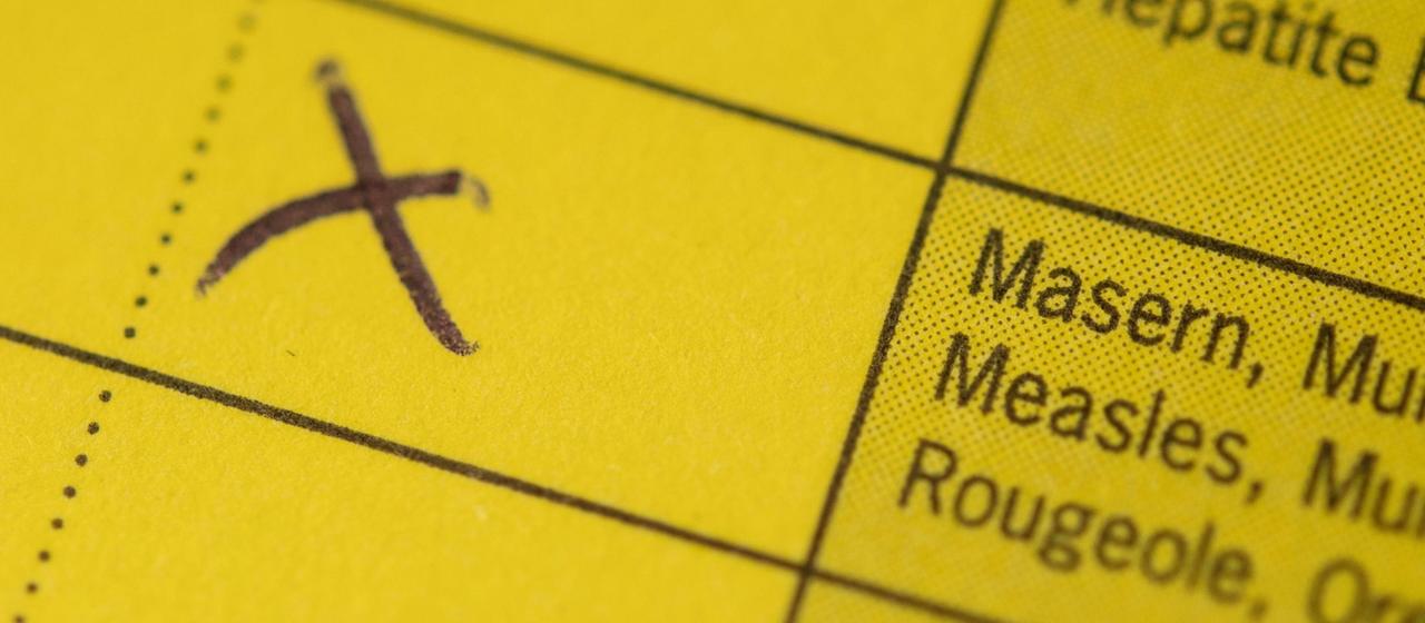 Impfbuch zu Impfung gegen Masern