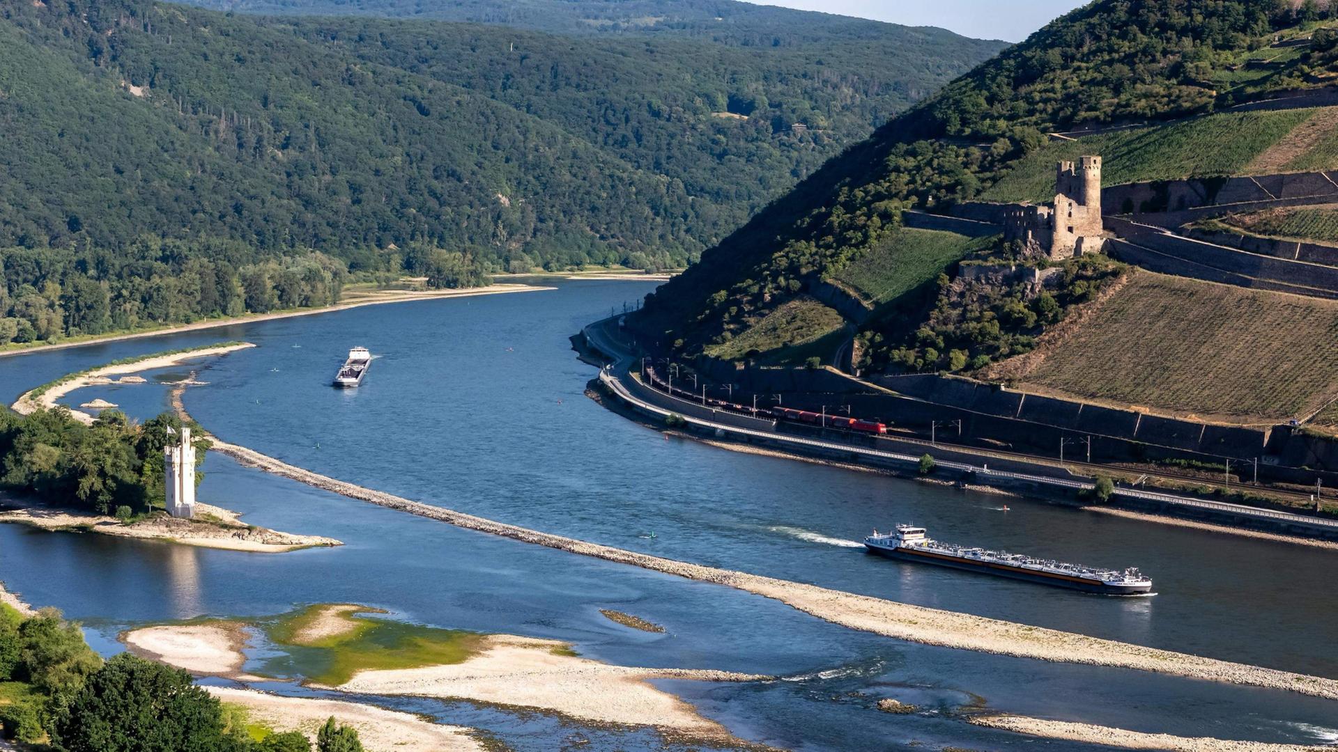 Der Rhein bei Bingen am Rhein mit dem Mäuseturm und der Burgruine Ehrenfels. | Jörg Halisch/dpa
