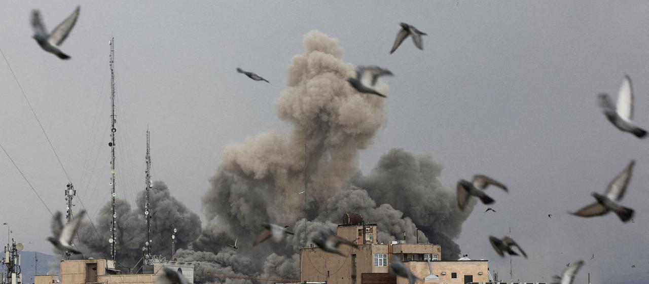 Vögel fliegen, im Hintergrund eine Rauchwolke.