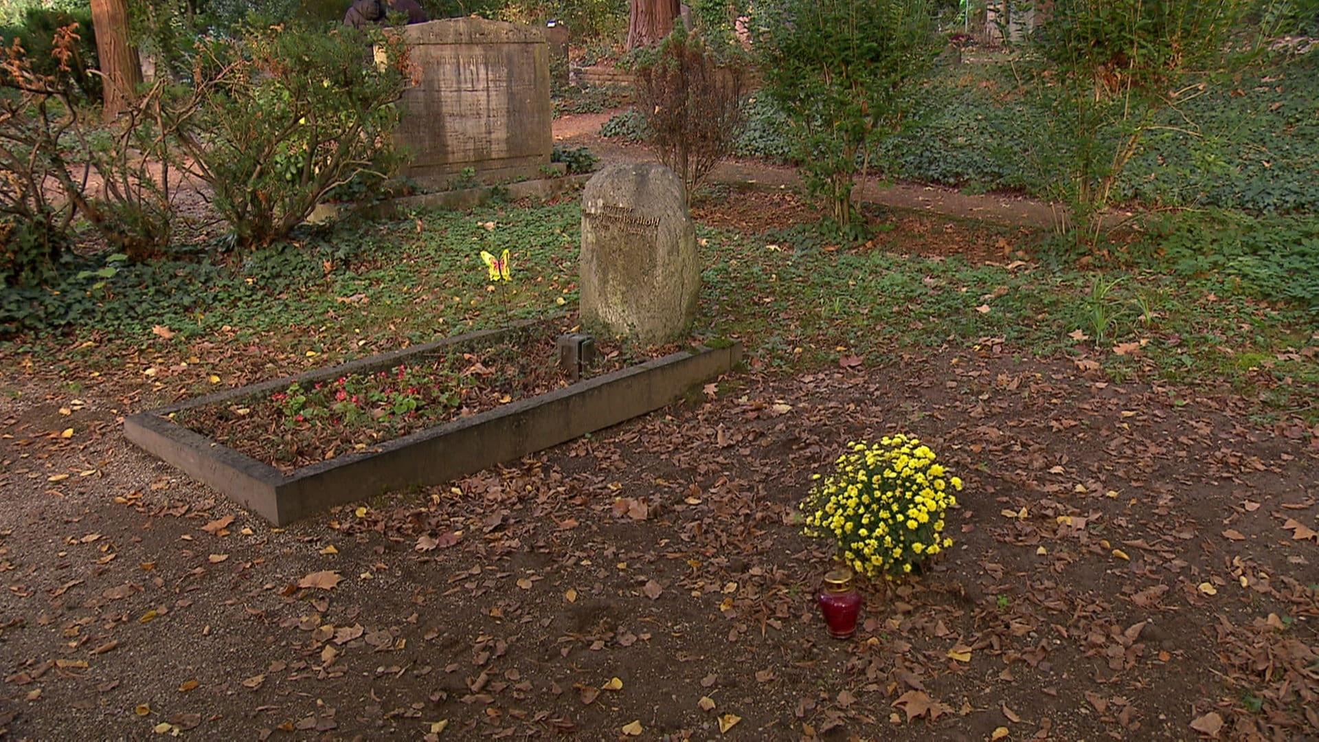 BW-Newsticker am Morgen: Grab verschwindet spurlos von Friedhof: Angehöriger spricht von "schändlicher" Abräumung, Traditionsunternehmen Vollmer meldet Insolvenz an: 450 Mitarbeiter betroffen, Özdemir will auf Solitude ziehen
