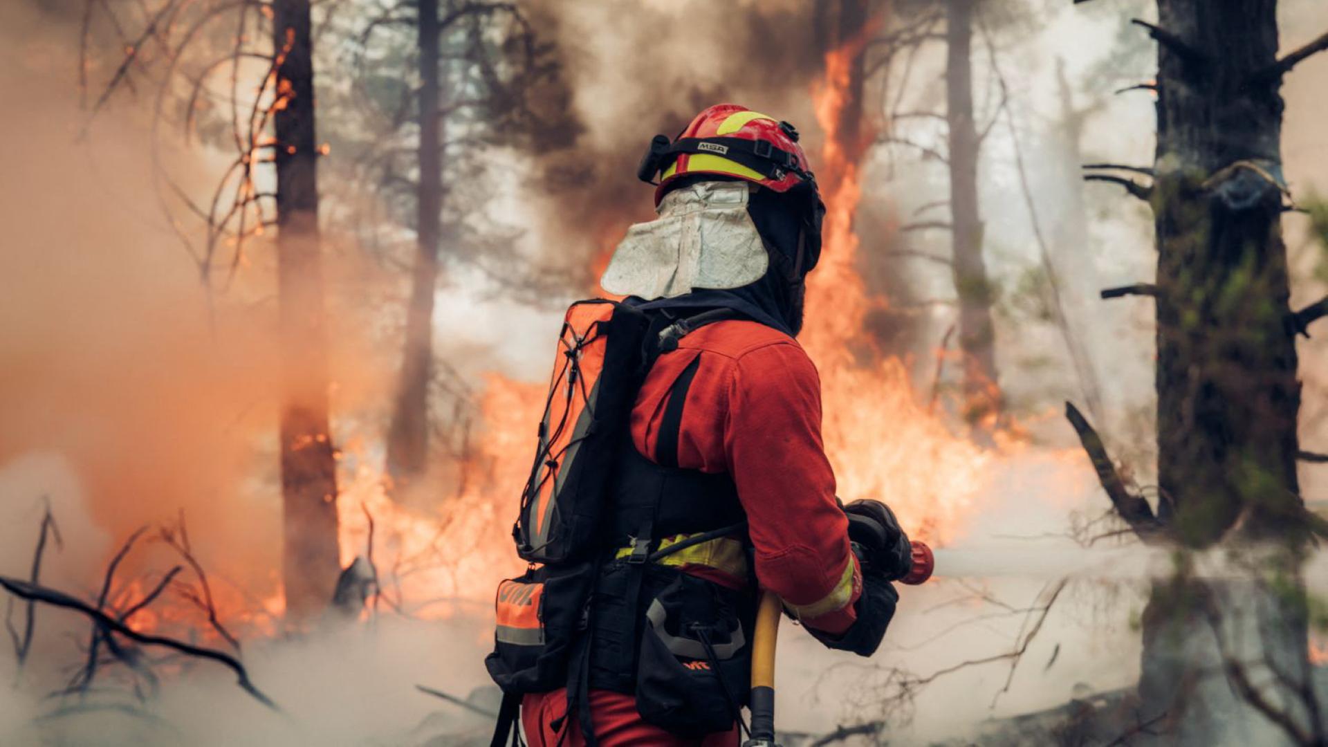 Die Feuerwehr bei Löscharbeiten eines Waldbrandes in La Mierla, Spanien | AFP PHOTO /  SPAIN'S MILITARY EMERGENCIES UNIT (UME) / HANDOUT