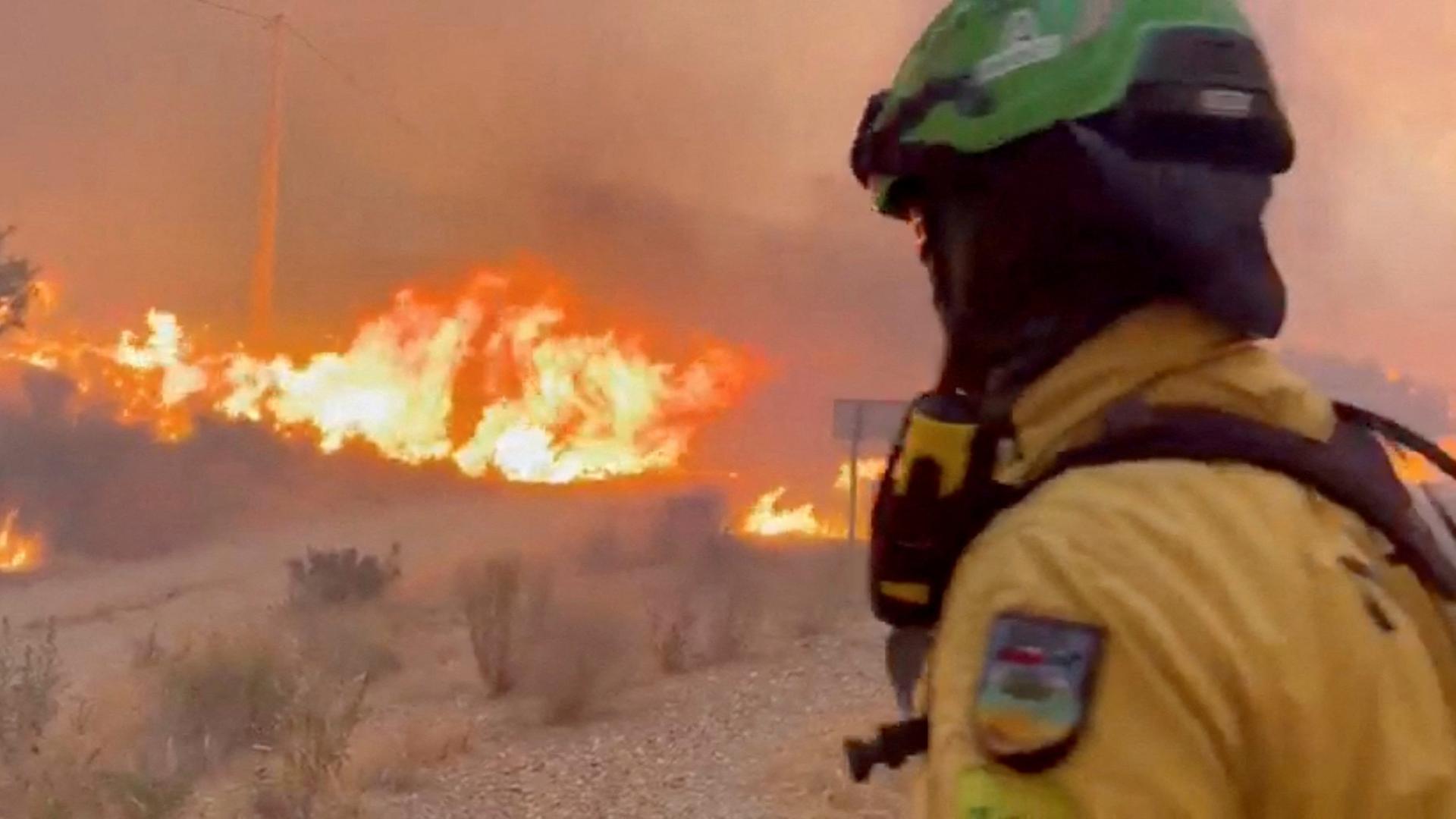 Auf diesem Screenshot aus einem Video blickt ein Feuerwehrmann auf die Flammen eines Waldbrands in Almería, Spanien. | @Plan_INFOCA via X/Handout via REUTERS