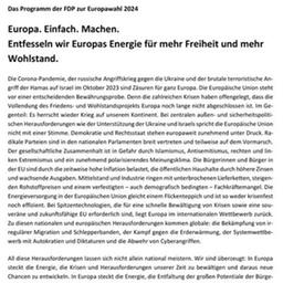 Titelseite des FDP-Wahlrprogramms zur Europawahl 2024