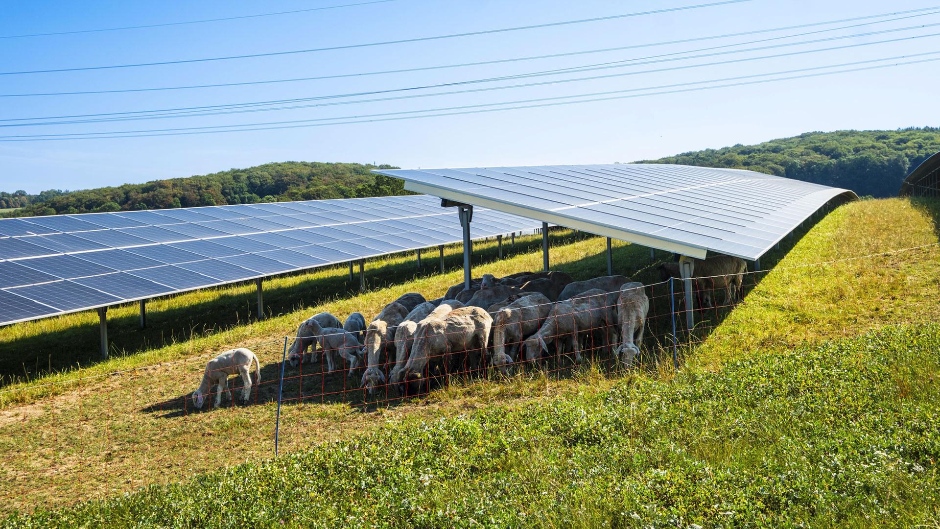 Solarausbauziel für 2026 erreicht