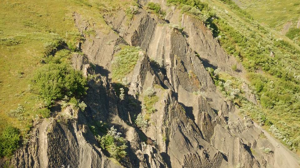 Dinosaurierspuren in Alaska entdeckt | tagesschau.de