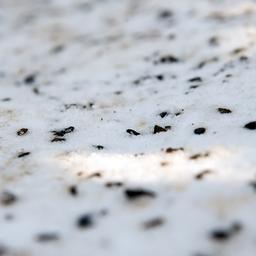 Streusplit liegt am 15.02.2018 in Berlin auf einem verschneiten Gehweg. (Quelle: Picture Alliance/Andrea Warnecke)