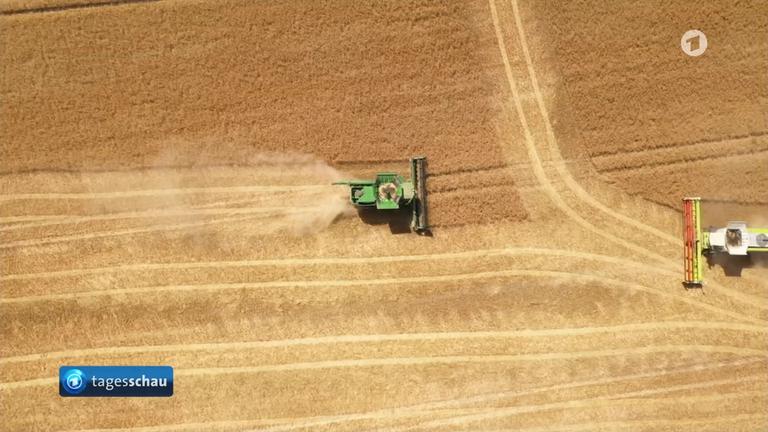 Hohe Dngerpreise: EU-Kommission will zustzliche Hilfen an Bauern zahlen