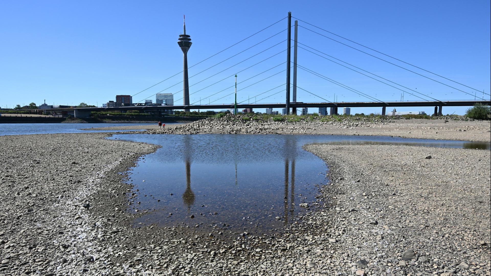 Verkehrsminister will Flüsse wegen niedriger Pegel ausbauen