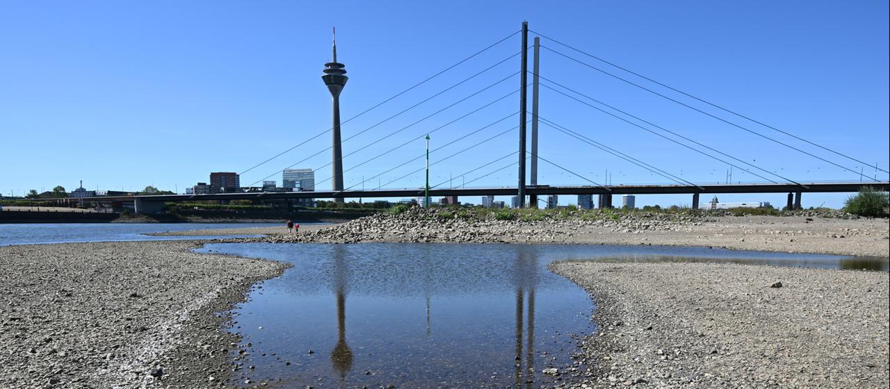 Niedriger Pegelstand des Rheins bei Düsseldorf im August 2026