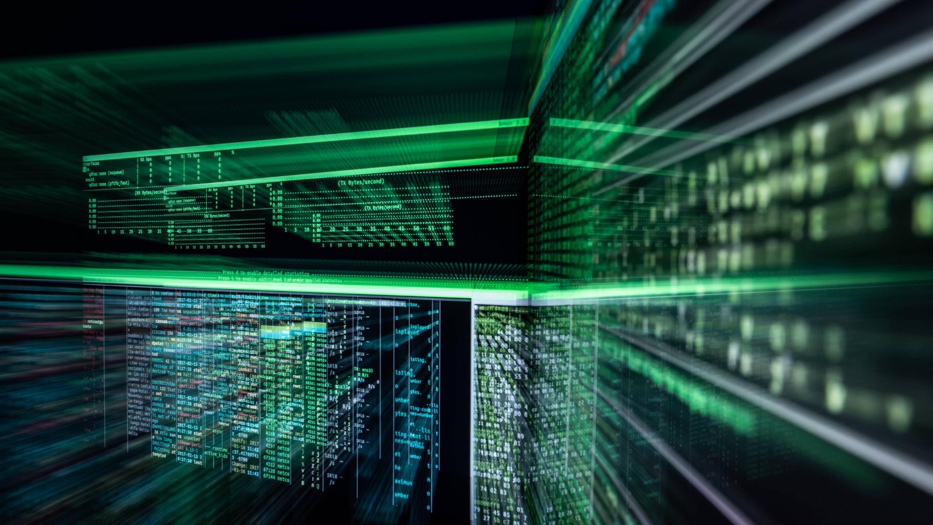 Senat geht nach Cyberangriff von Weiterverkauf gestohlener Daten aus