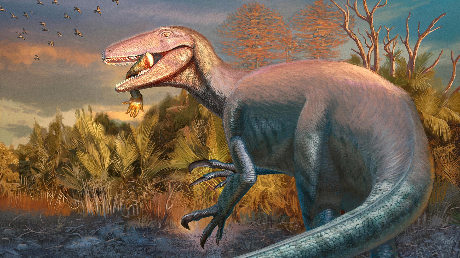 Neuer Raubdinosaurier in Argentinien entdeckt