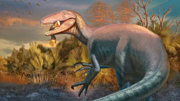 Fossile Zähne verraten: Küsten-Dinosaurier aßen Meerespflanzen