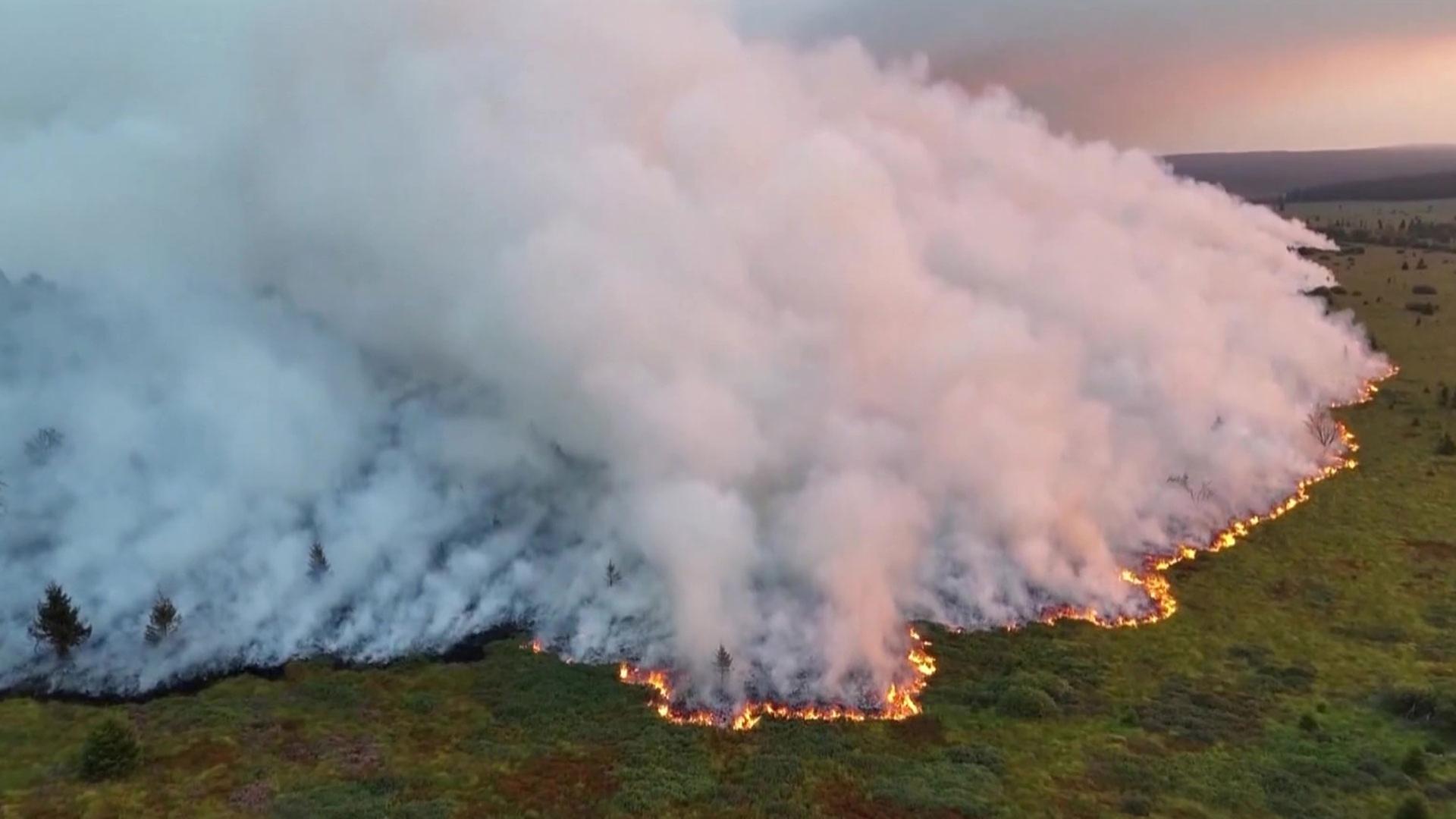 Waldbrand in Belgien bedroht Teile von NRW