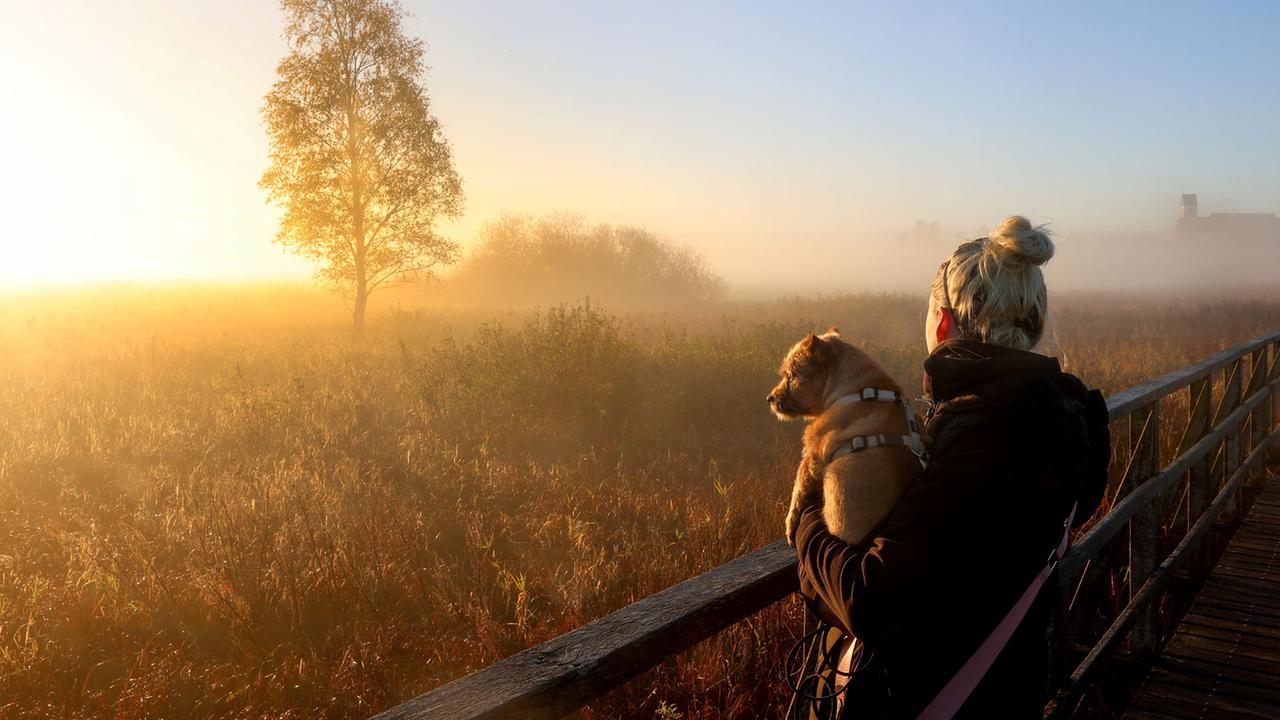 Wie-sich-die-Pers-nlichkeit-entwickelt