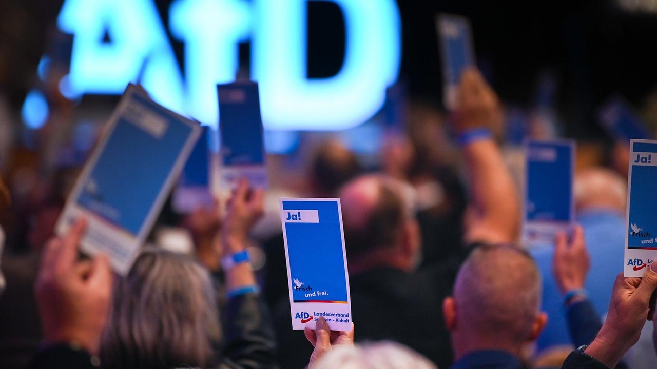 AfD Sachsen-Anhalt setzt Kommission zu Vetternwirtschafts-Vorwürfen ein