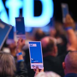 Stimmkarten werden bei der Wahl zu den AfD-Kandidaten in die Höhe gehalten.