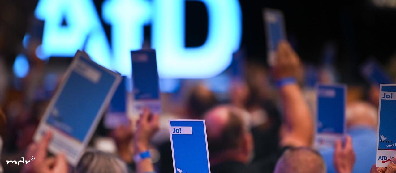 Stimmkarten werden bei der Wahl zu den AfD-Kandidaten in die Höhe gehalten.