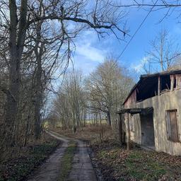 Ein Waldweg mit Bäumen links und recht. Auf der rechten Seite liegt ein verlassenes, altes Gebäude. 