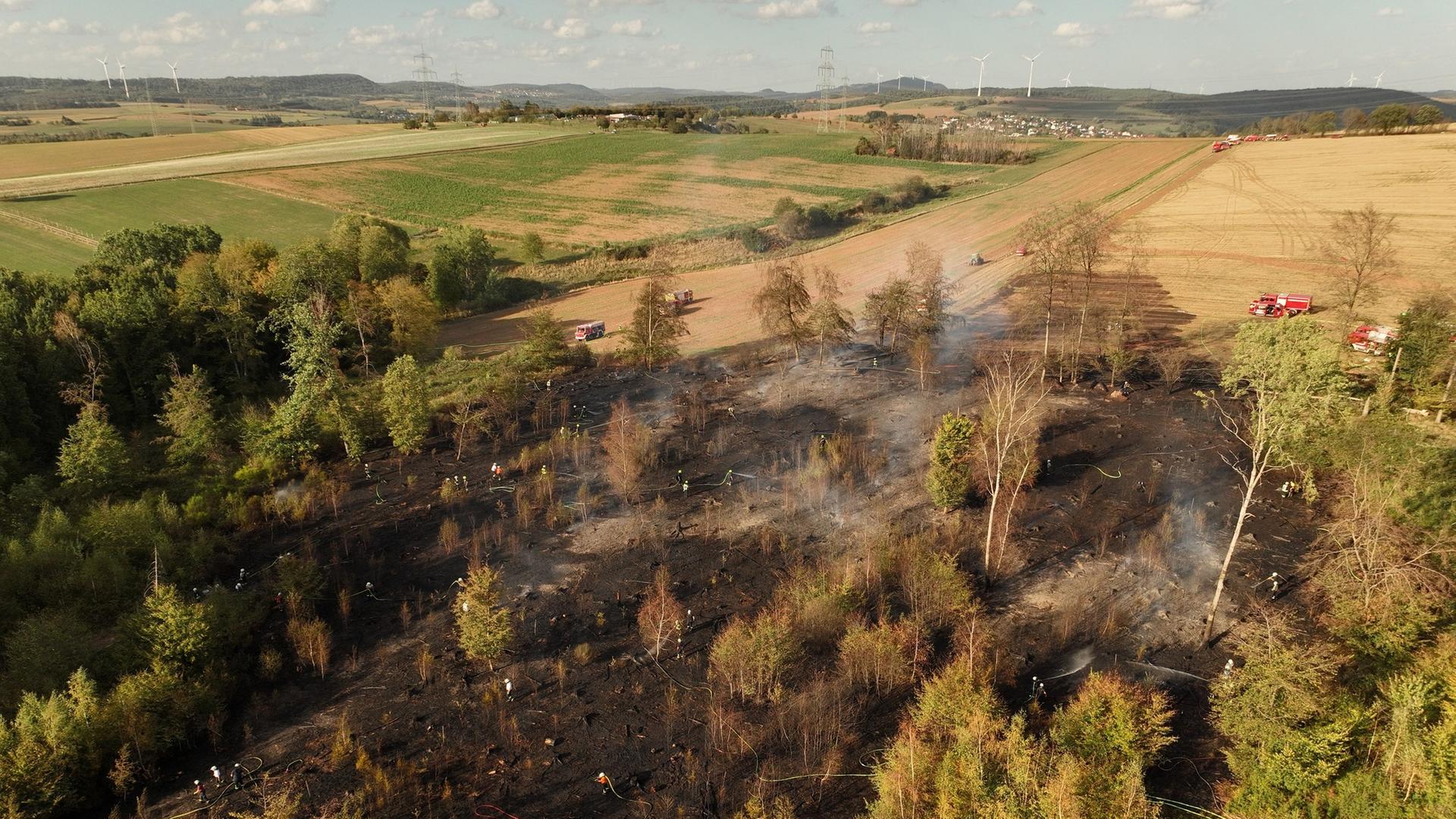 Flächenbrand in Eppelborn unter Kontrolle