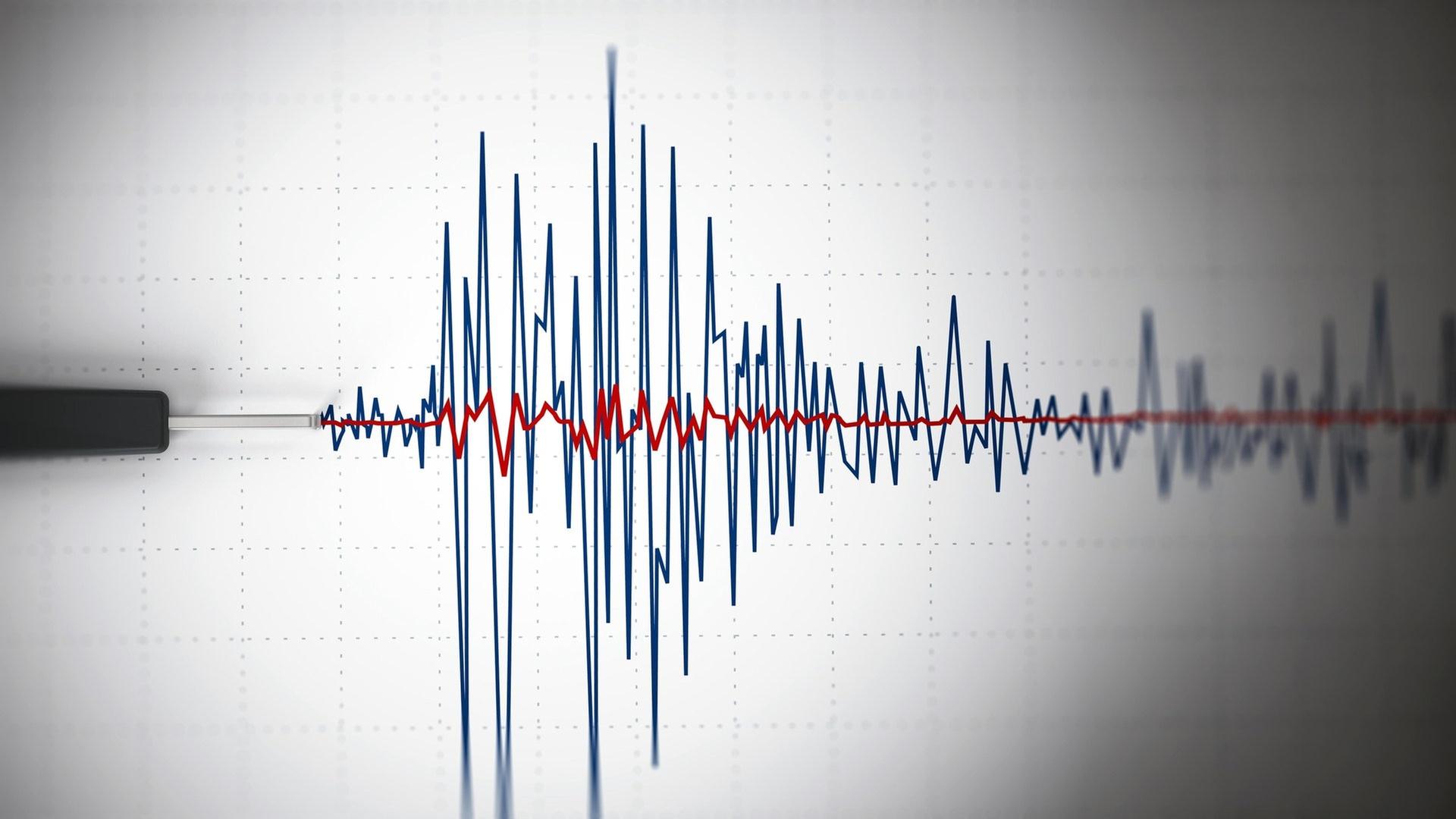 Ein Seismograph zeichnet ein Erdbeben auf  | picture-alliance / Reportdienste, Picture Alliance
