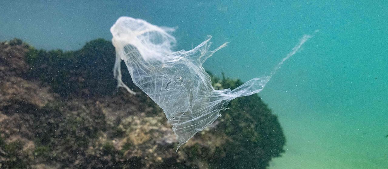 plastiktuete meer ozean 100