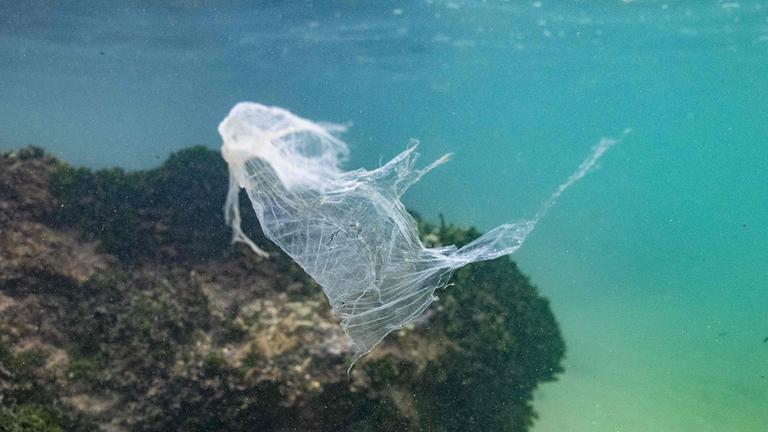 Eine Plastiktüte schwimmt im Wasser.
