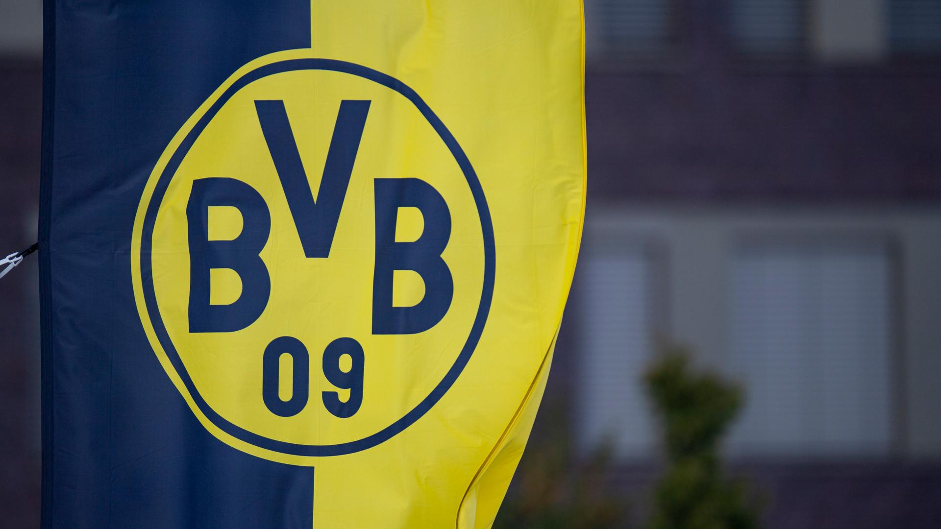 Wegen Aufkleber - BVB geht erfolgreich gegen AfD vor