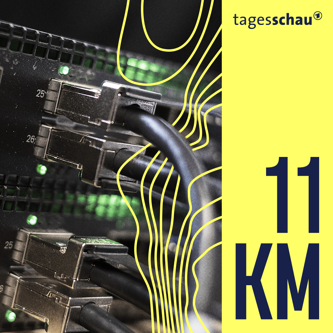 Die Stecker eines Servers stecken in einem Anschluss.