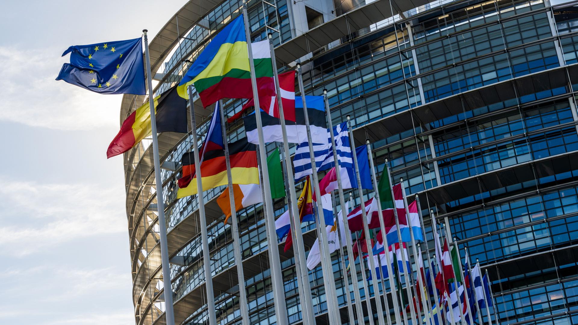 Die Flaggen der Europäischen Union, der Ukraine und der Mitgliedsstaaten der EU wehen vor dem Gebäude des Europäischen Parlaments in Straßburg. | dpa