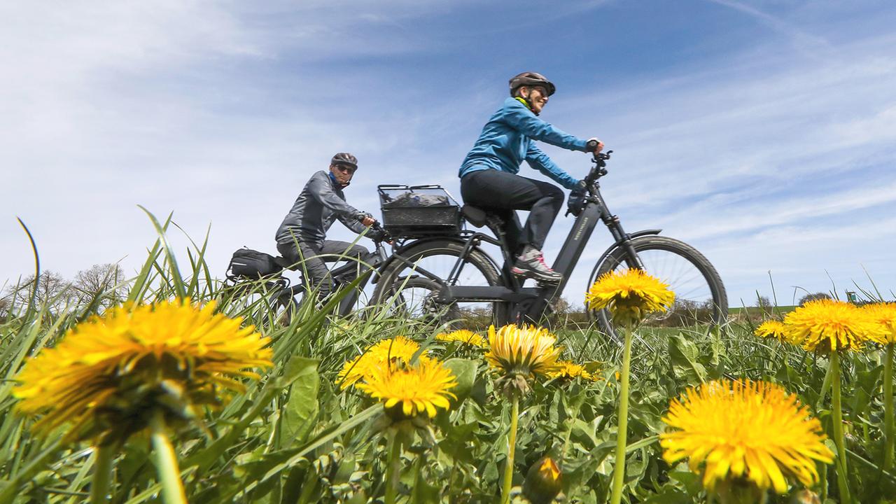Ein Ehepaar radelt an blühendem Löwenzahn vorbei. | picture alliance/dpa