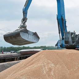Ein Bagger verlädt in einem ukrainischen Getreidehafen Getreide in ein Frachtschiff. 