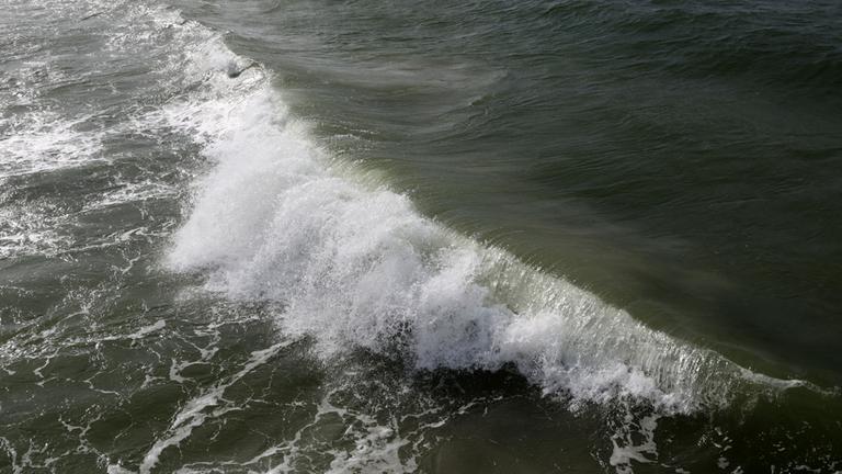 Nordsee-Oberfläche so warm wie noch nie