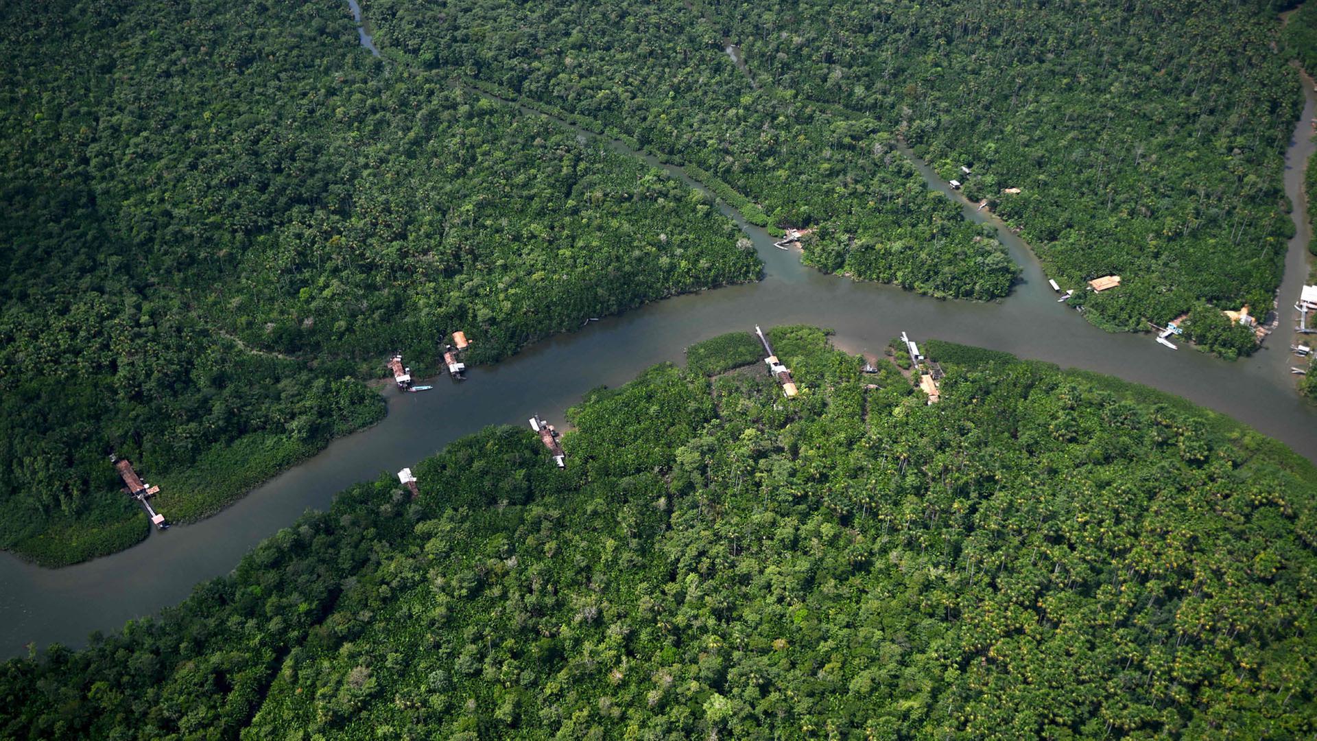 Eine Flussufergemeinde im Amazonas-Regenwald am Tocantins-Fluss in Cameta, Brasilien. | AFP
