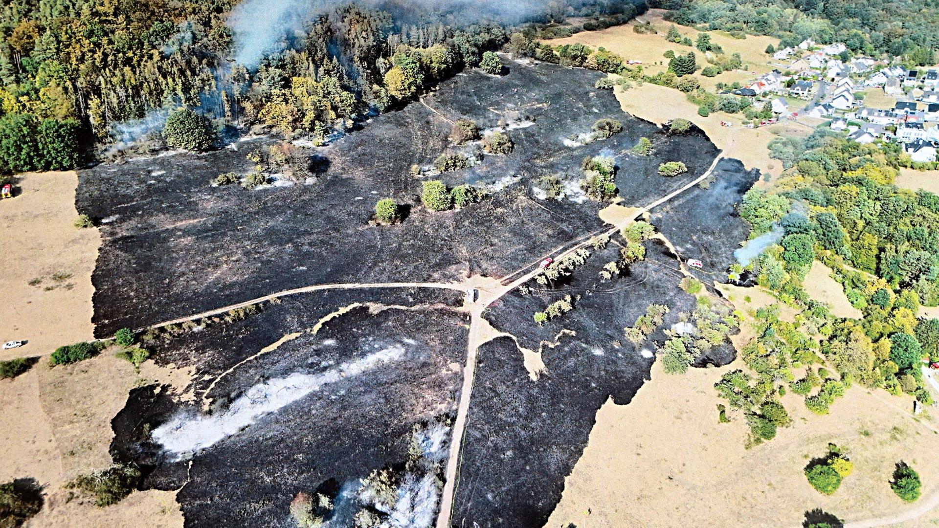 Verbrannte Felder sind nach einem Flächenbrand bei Waldaschaff zu sehen. | Ralf Hettler/dpa