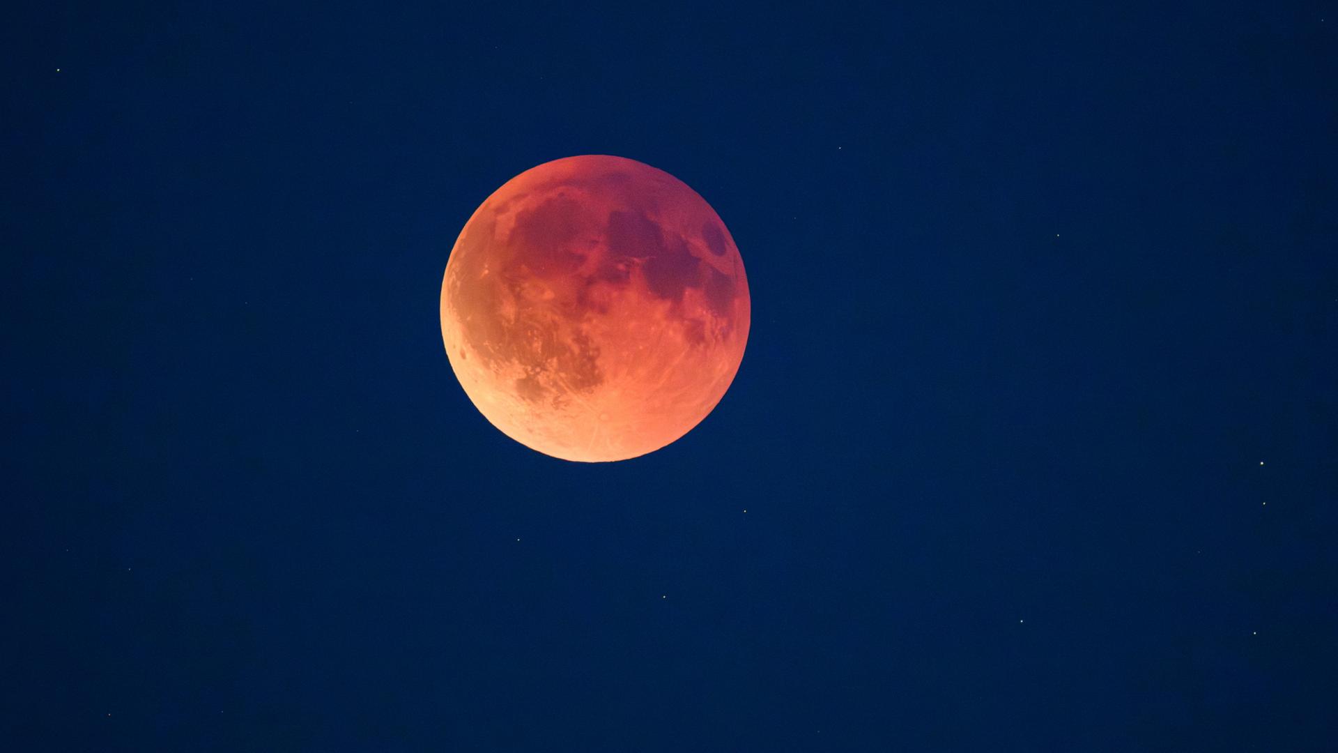 Eine totale Mondfinsternis ist als sogenannter Blutmond am Abendhimmel über Brandenburg zu sehen.  | dpa