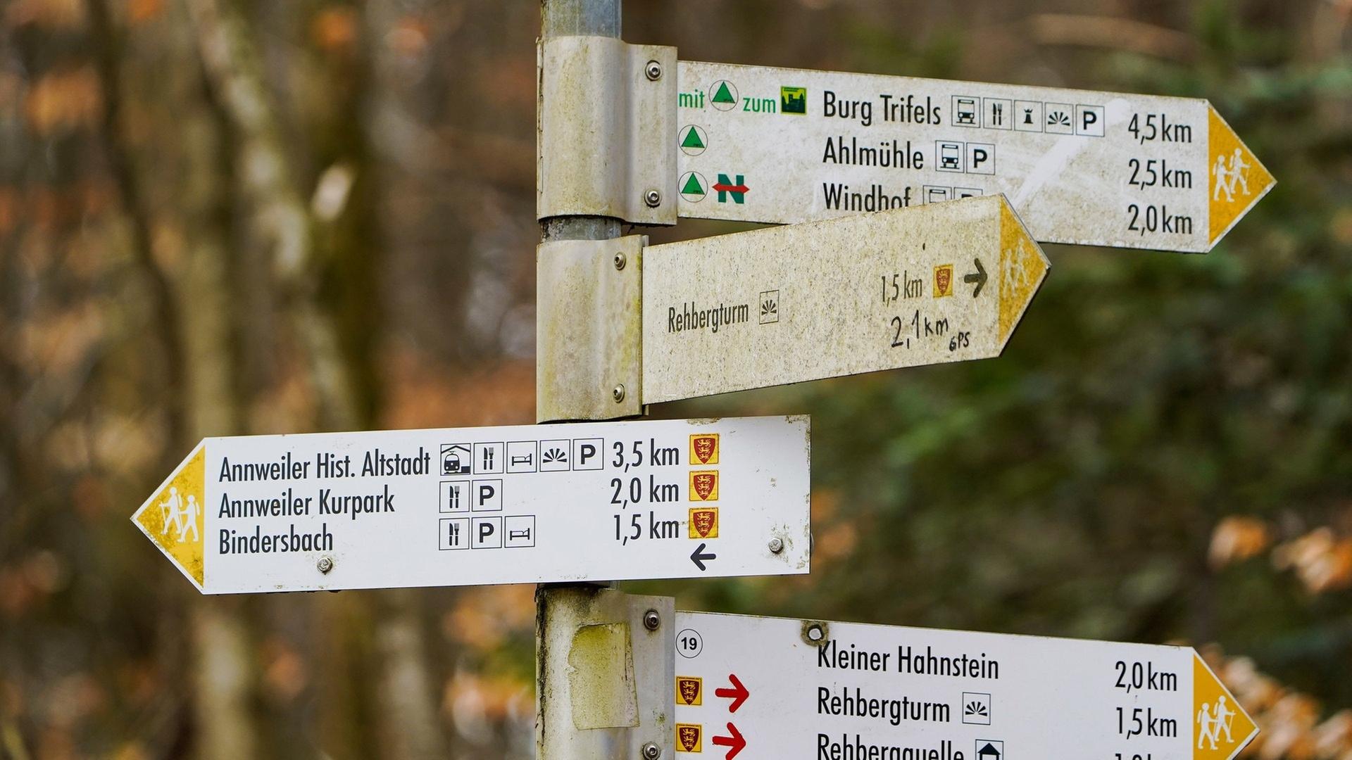 Neues Wanderwegenetz im Pfälzerwald: Das ist geplant