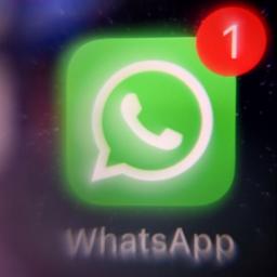 Das Logo von WhatsApp auf einem Handybildschirm.
