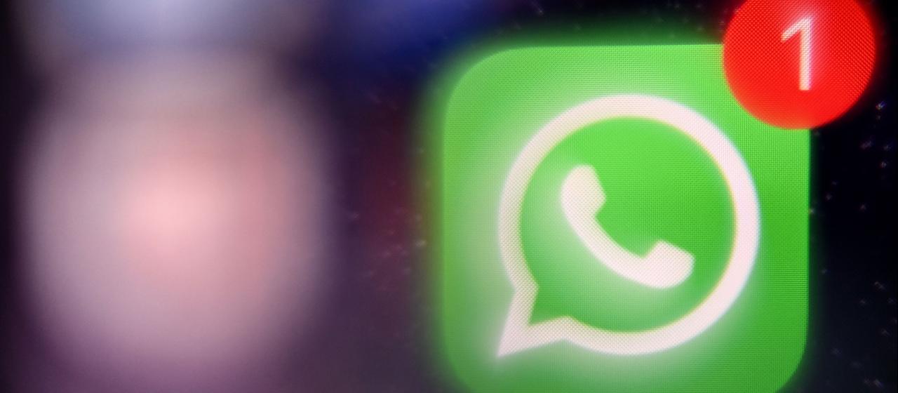 Das Logo von WhatsApp auf einem Handybildschirm.